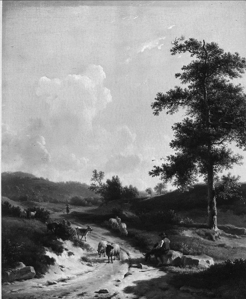 Un pastore con pecore in un paesaggio collinare - Amsterdam Museum
